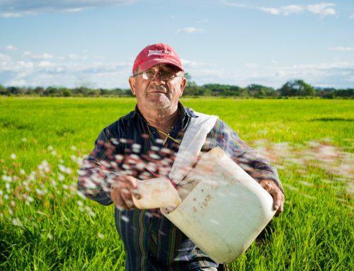 Farmers Worry Government Bailouts Won’t Be Enough