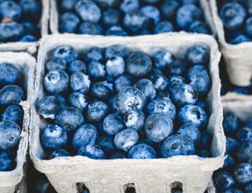 Global Blueberry Market Overview